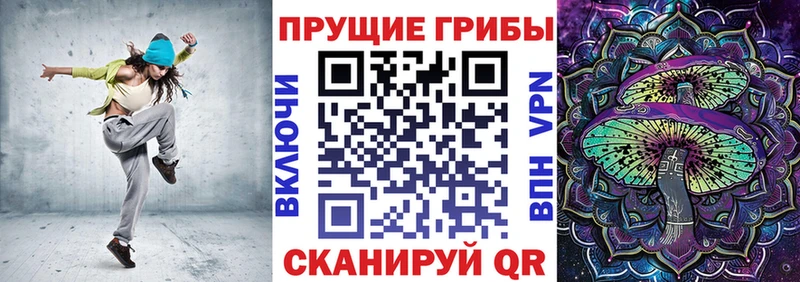 Псилоцибиновые грибы Psilocybe  kraken маркетплейс  Новотитаровская  дарнет шоп 