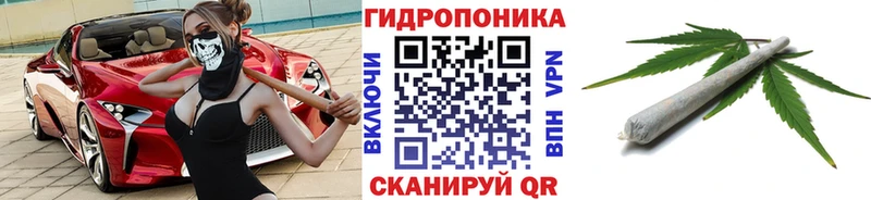 мега ONION  Новотитаровская  сайты даркнета Telegram  Марихуана планчик 